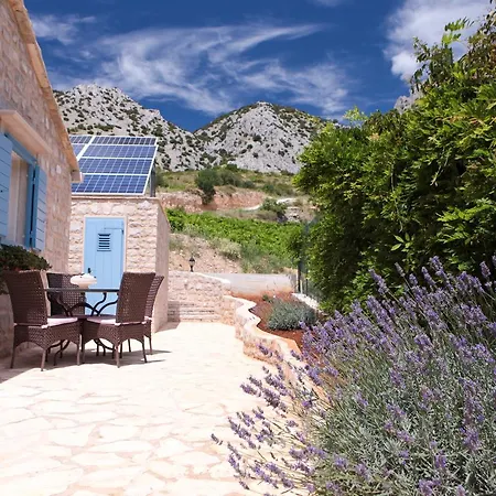 Holiday home Robinson Afrodita Nerezisca